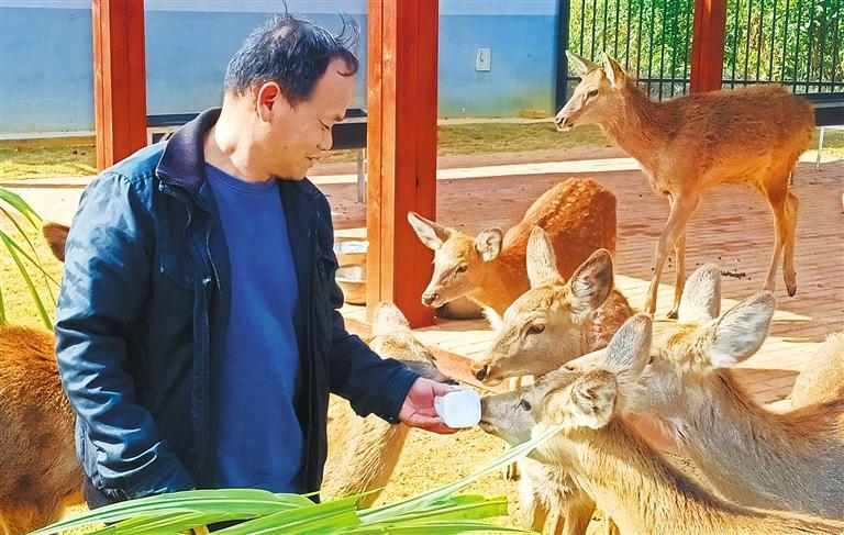 质量发展产业调研】林下生金不朽情缘电子游